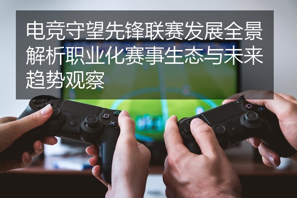 电竞守望先锋联赛发展全景解析职业化赛事生态与未来趋势观察